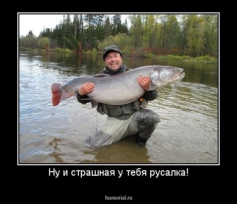 Ну и страшная у тебя русалка!