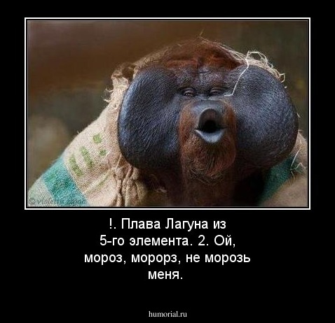 !. Плава Лагуна из 5-го элемента.
2. Ой, мороз, морорз, не морозь меня.