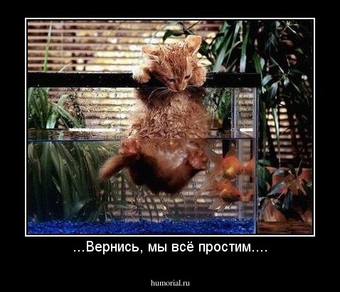 ...Вернись, мы всё простим....