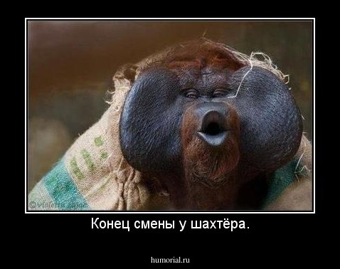 Конец смены у шахтёра.