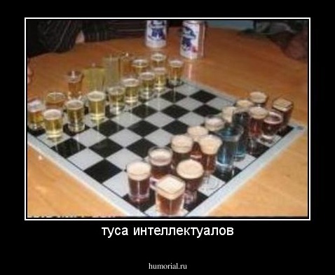 туса интеллектуалов