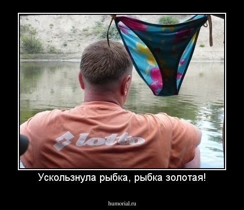 Ускользнула рыбка, рыбка золотая!