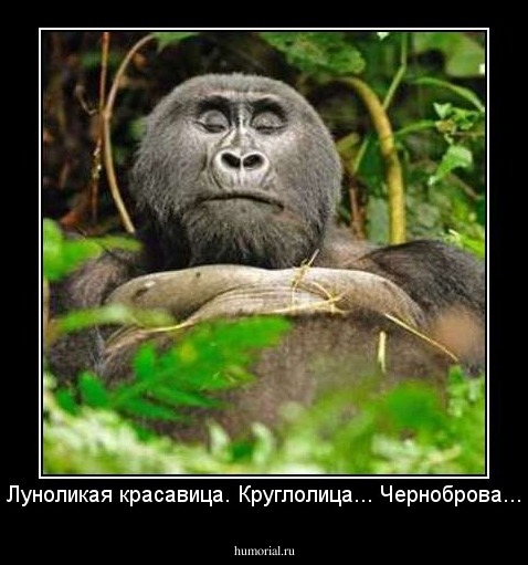Луноликая красавица. Круглолица... Черноброва...