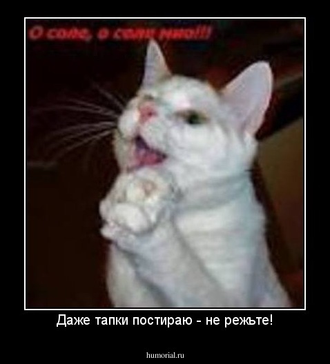 Даже тапки постираю - не режьте!