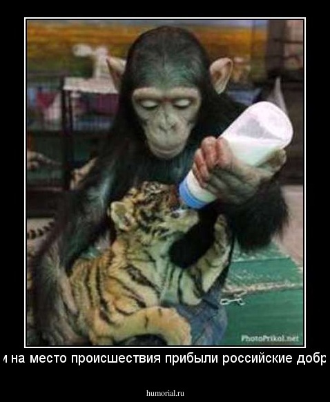 ..первыми на место происшествия прибыли российские добровольцы!