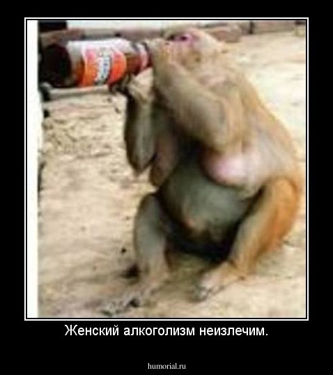 Женский алкоголизм неизлечим.