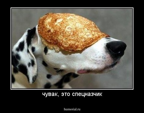 чувак, это спецназчик