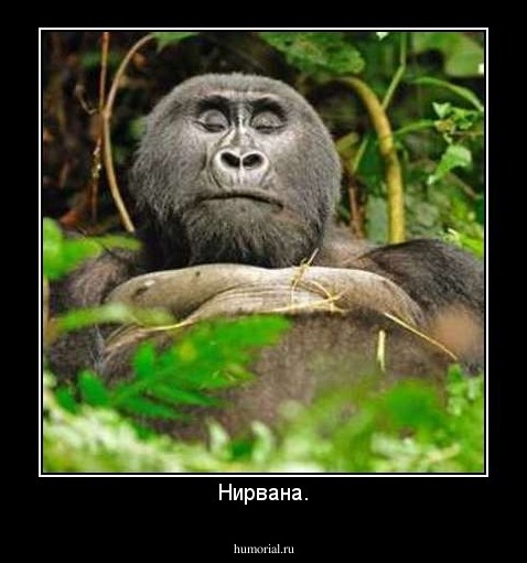Нирвана.