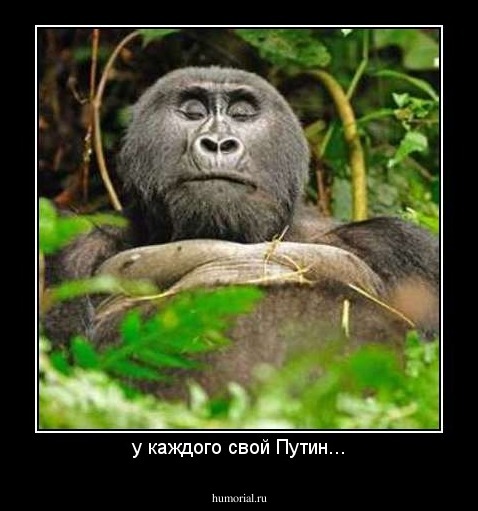у каждого свой Путин...