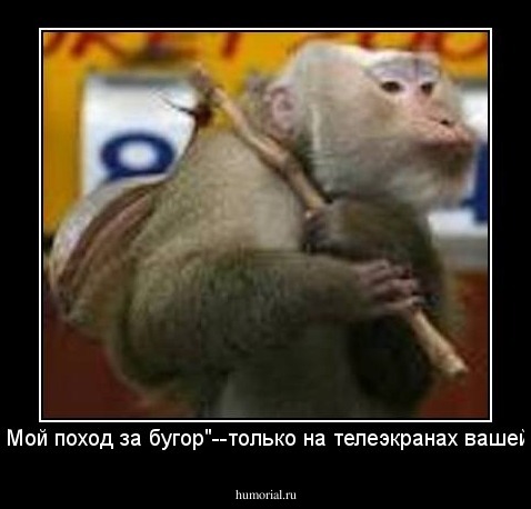 Лужков:"Мой поход за бугор"--только на телеэкранах вашей страны!