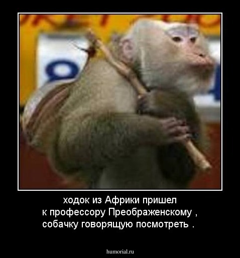 ходок из Африки пришел к профессору Преображенскому , собачку говорящую посмотреть .
