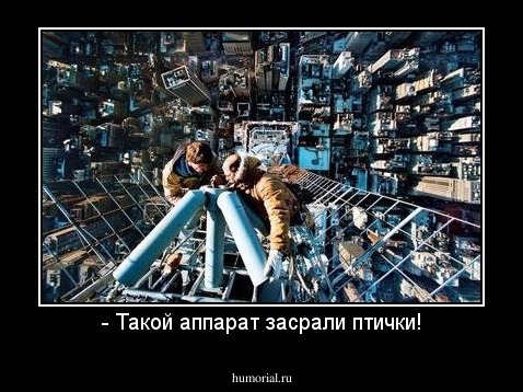 - Такой аппарат засрали птички!