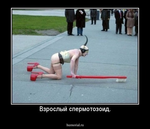 Взрослый спермотозоид.