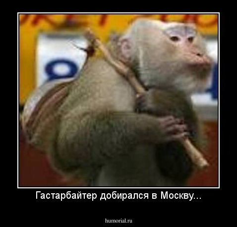 Гастарбайтер добирался в Москву...