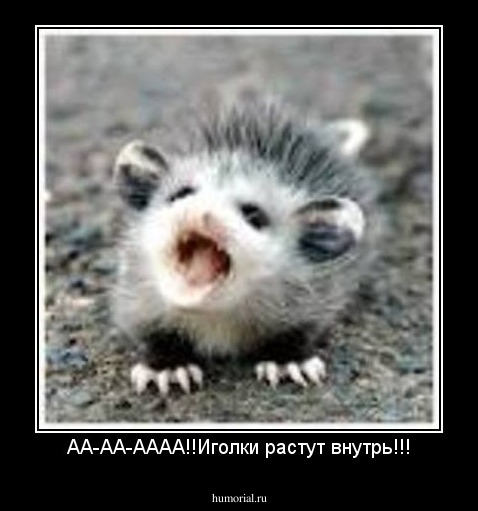 АА-АА-АААА!!Иголки растут внутрь!!!