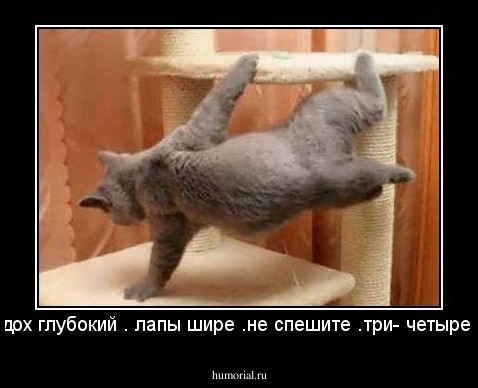 вдох глубокий . лапы шире .не спешите .три- четыре . 