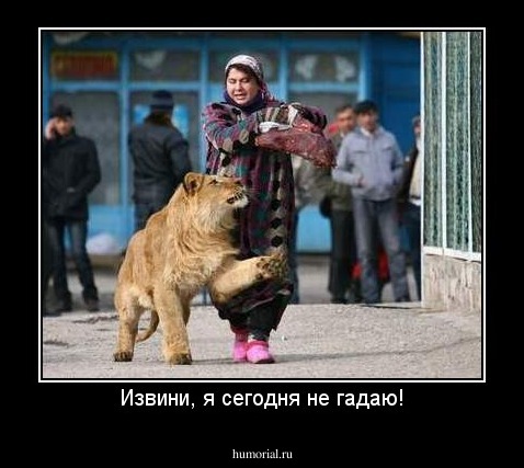 Извини, я сегодня не гадаю!