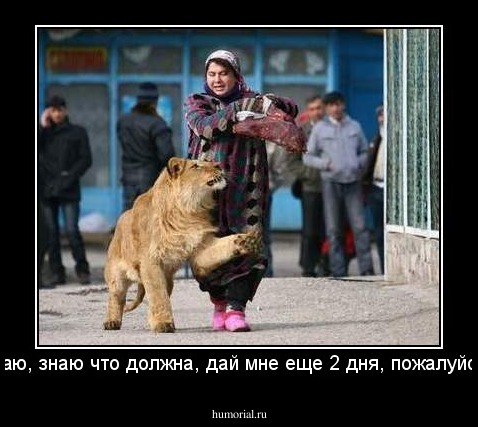 знаю, знаю что должна, дай мне еще 2 дня, пожалуйста