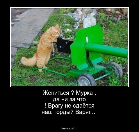 Жениться ? Мурка , да ни за что ! Врагу не сдаётся наш гордый Варяг...