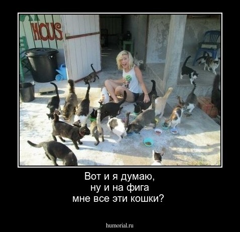 Вот и я думаю, ну и на фига мне все эти кошки?