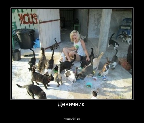 Девичник 