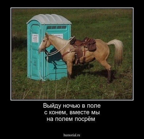 Выйду ночью в поле с конем, вместе мы на полем посрём