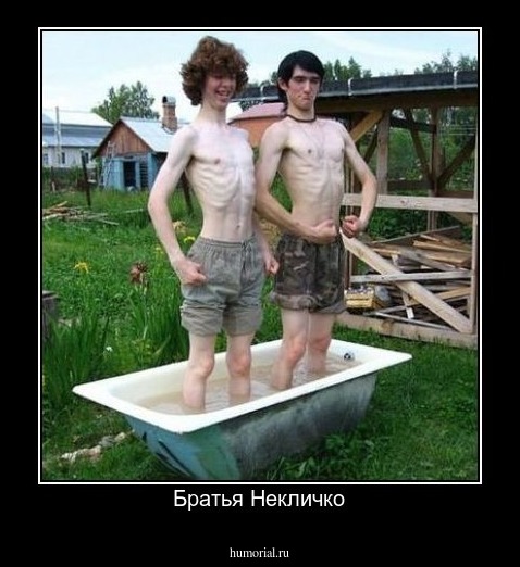 Братья Некличко