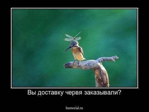 Вы доставку червя заказывали?