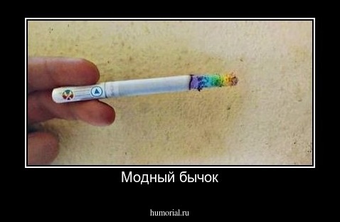 Модный бычок
