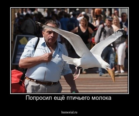 Попросил ещё птичьего молока 