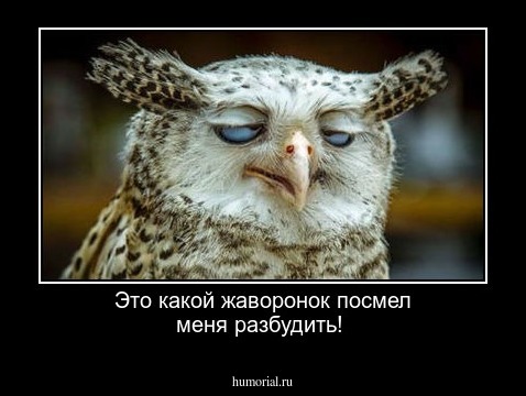 Это какой жаворонок посмел меня разбудить!