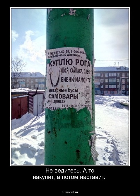 Не ведитесь. А то накупит, а потом наставит.
