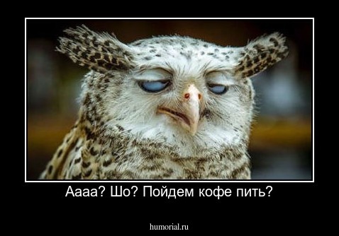 Аааа? Шо? Пойдем кофе пить?