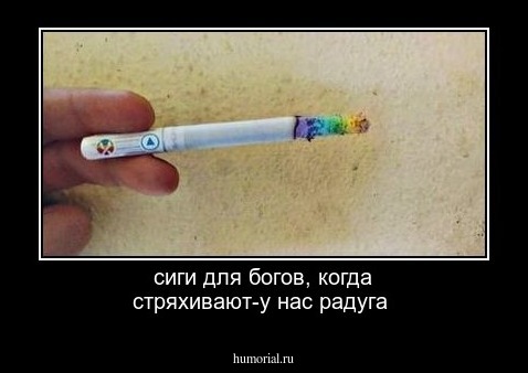 сиги для богов, когда стряхивают-у нас радуга
