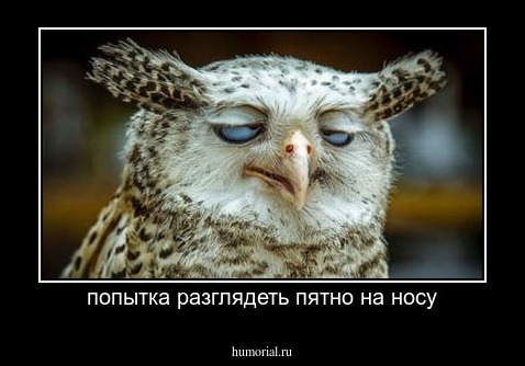 попытка разглядеть пятно на носу