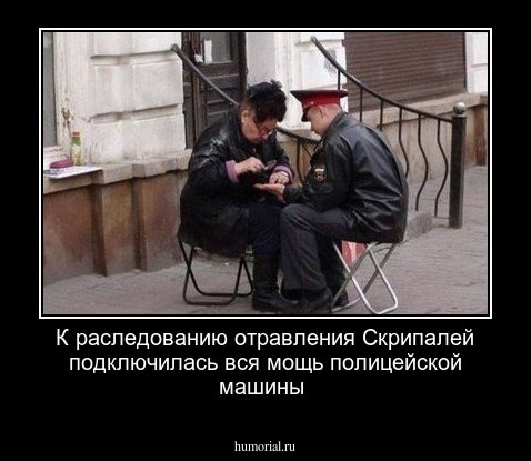 К раследованию отравления Скрипалей подключилась вся мощь полицейской машины