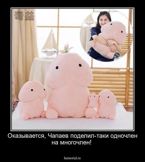 Оказывается, Чапаев поделил-таки одночлен на многочлен!