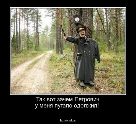 Так вот зачем Петрович у меня пугало одолжил!