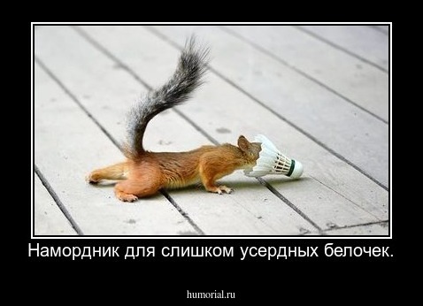 Намордник для слишком усердных белочек.