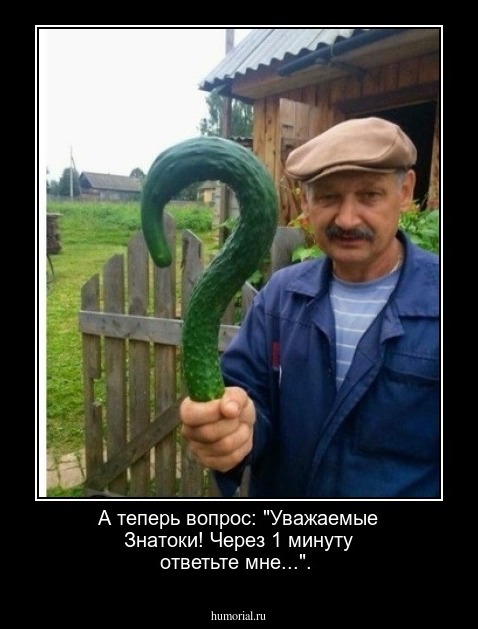 А теперь вопрос: "Уважаемые Знатоки! Через 1 минуту ответьте мне...".