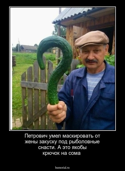 Петрович  умел  маскировать  от жены закуску под рыболовные  снасти. А это якобы  крючок на сома