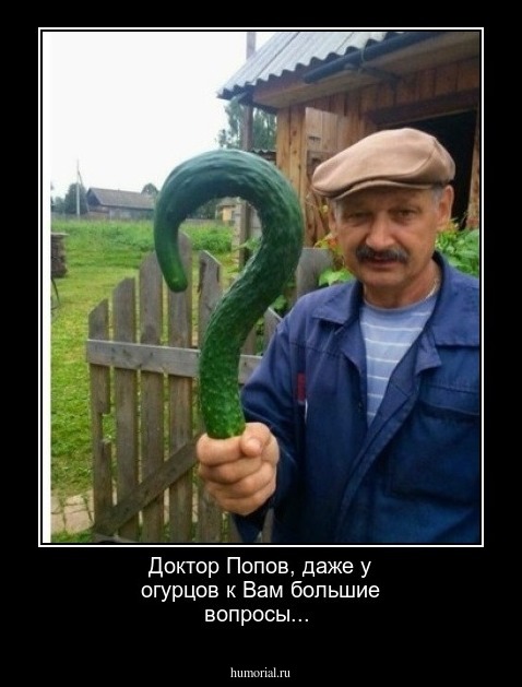 Доктор Попов, даже у огурцов к Вам большие вопросы...