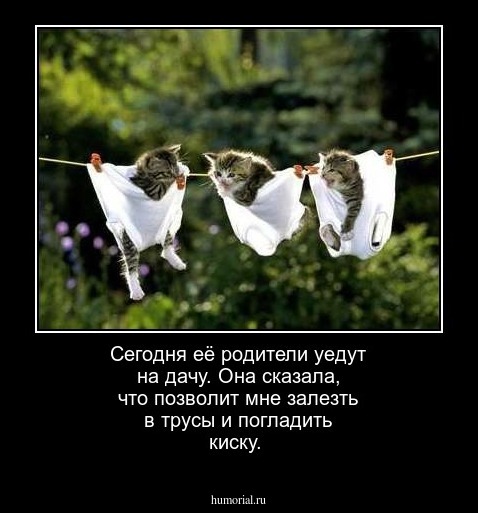 Сегодня её родители уедут на дачу. Она сказала, что позволит мне залезть в трусы и погладить киску.