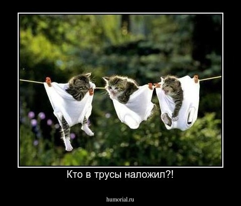 Кто в трусы наложил?!