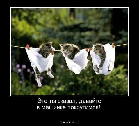 Это ты сказал, давайте в машинке покрутимся! 