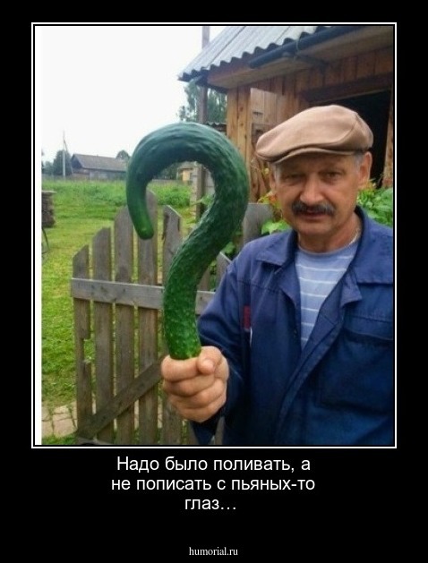 Надо было поливать, а не пописать с пьяных-то глаз…