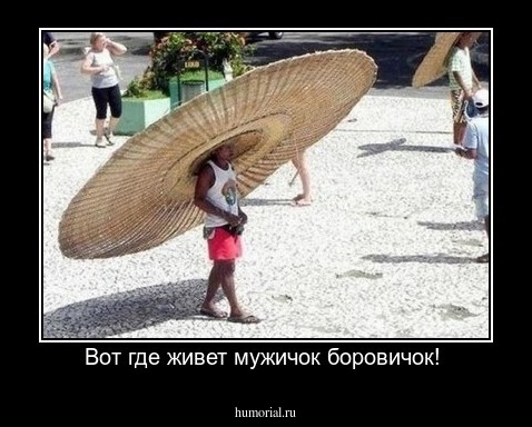 Вот где живет мужичок боровичок! 