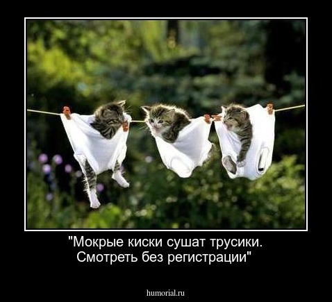 "Мокрые киски сушат трусики. Смотреть без регистрации" 