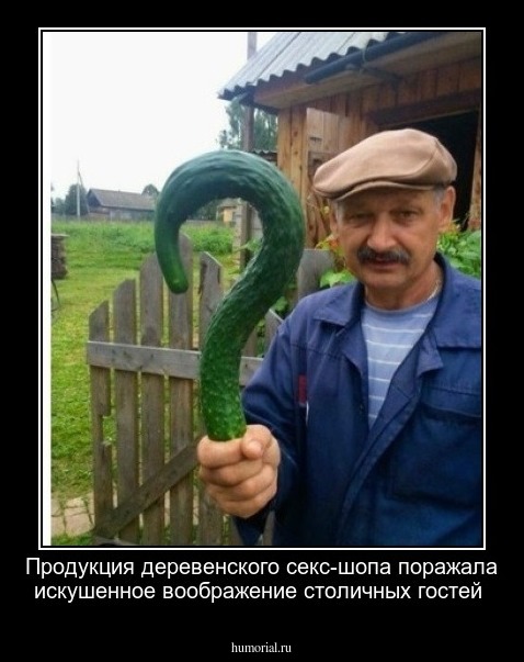Продукция деревенского секс-шопа поражала искушенное воображение столичных гостей