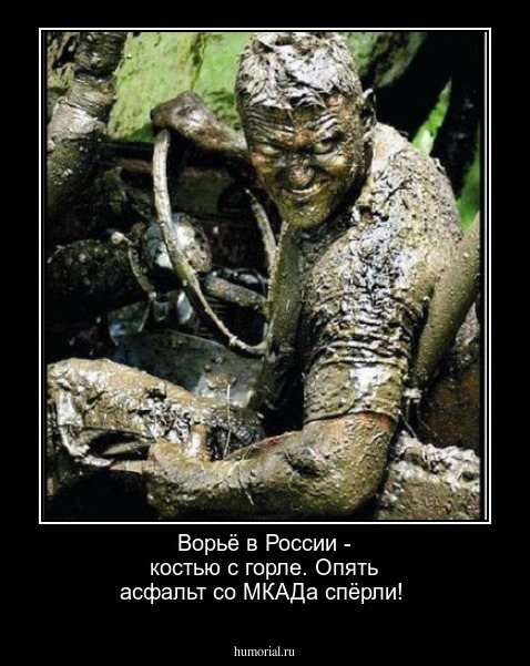 Ворьё в России - костью с горле. Опять асфальт со МКАДа спёрли!